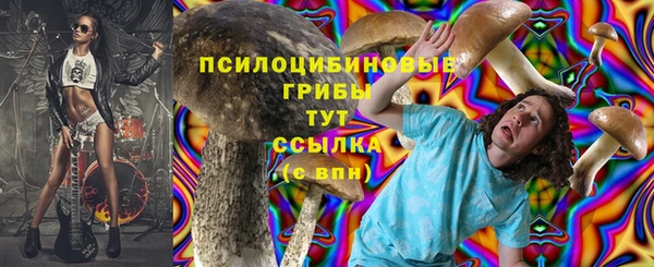 круглые Карпинск