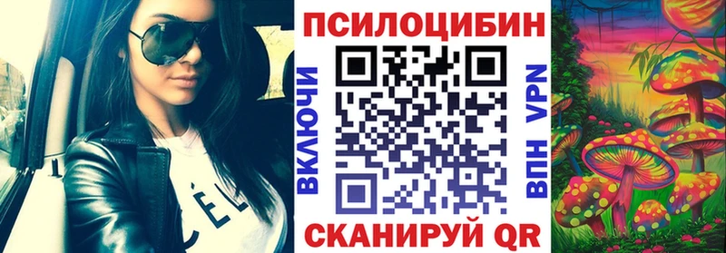 Псилоцибиновые грибы Cubensis  Котлас 