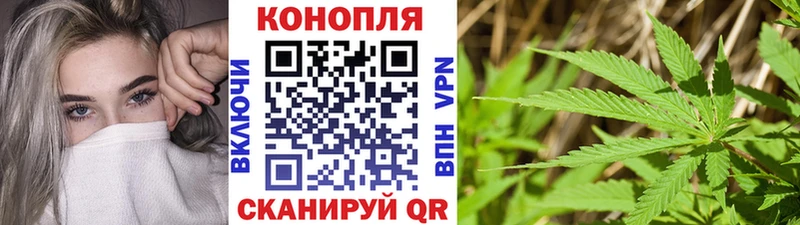Бошки марихуана индика  гидра маркетплейс  Котлас 