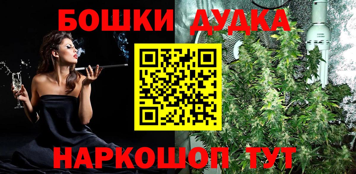 Бошки Шишки планчик Котлас